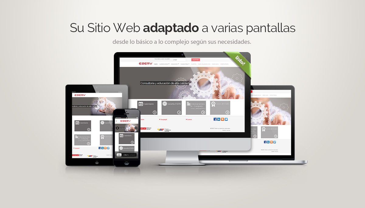 DISENO WEB OZONIKA